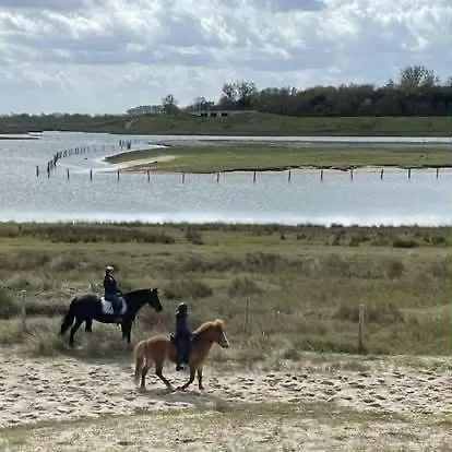 Claire's Knokke-Heist